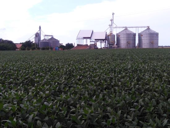 SEGURO RURAL ][ Seguro Rural é essencial para resiliência do agro frente a eventos extremos